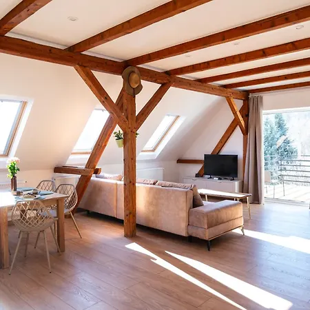 Pod Bukowym Lasem Apartament *