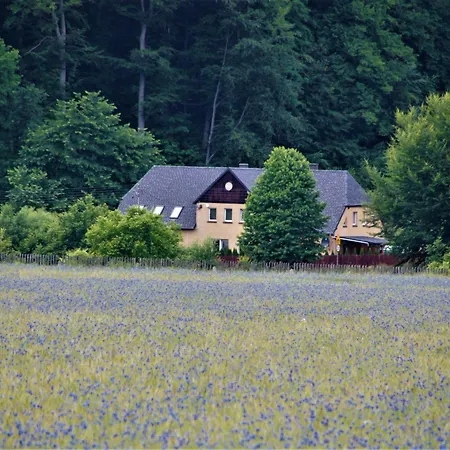 Apartamento Pod Bukowym Lasem