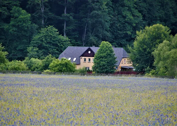 דירה Pod Bukowym Lasem